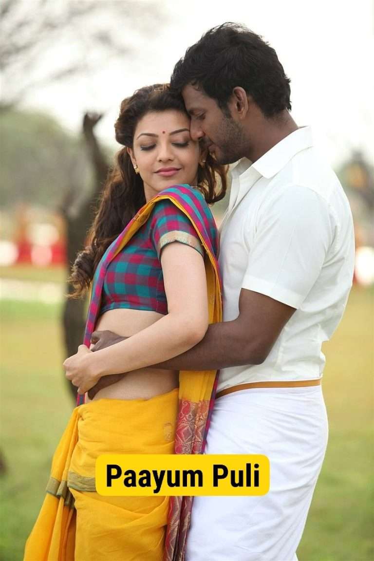 Download Main Hoon Rakshak (Paayum Puli) (2015) {Hindi + Tamil} Dual Audio UnCut Movie HD ESub 480p, 720p, 1080p