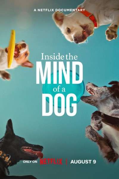 Download Inside the Mind of a Dog (2024) {Hindi+English} Dual Audio Movie WEB-DL ESub 480p, 720p, 1080p